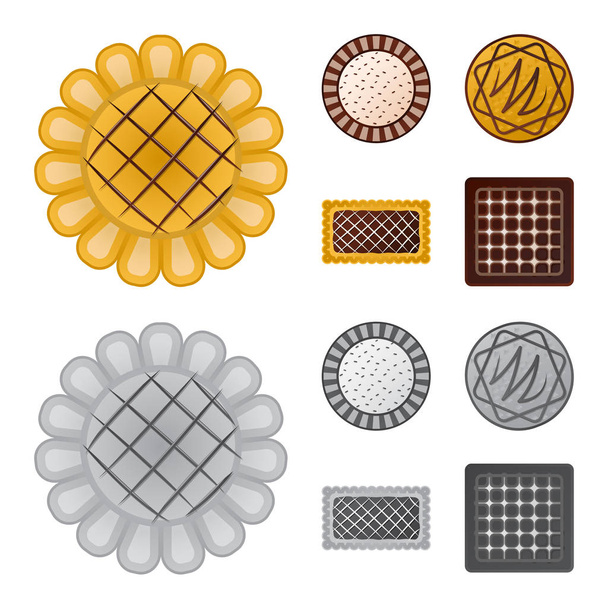 Isolated object of biscuit and bake icon. Set of biscuit and chocolate stock vector illustration. - Vetor, Imagem