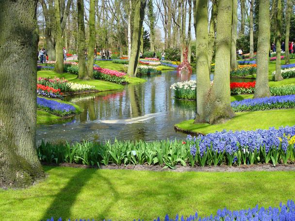 Scenic garden with spring flowers - Photo, Image