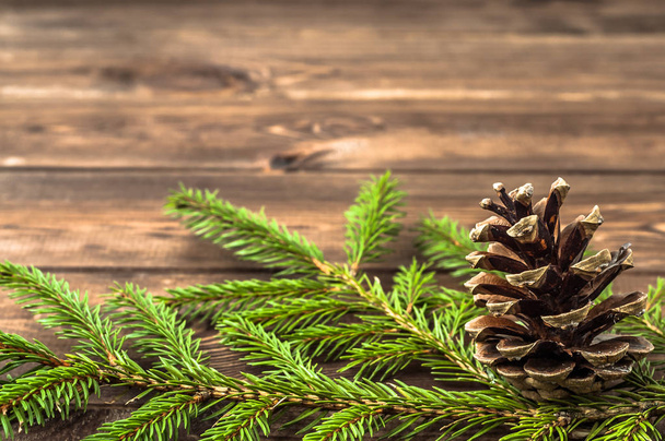 Christmas decoration, pine cone on evergreen spruce branch - Valokuva, kuva