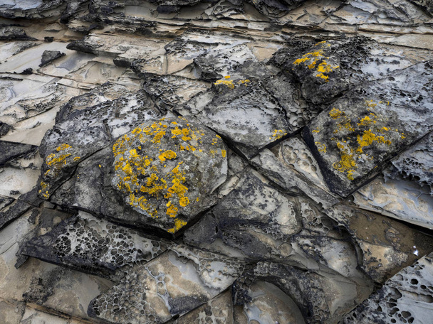interesantes formaciones rocosas Isla León Marino, Malvinas / Malvinas
 - Foto, Imagen
