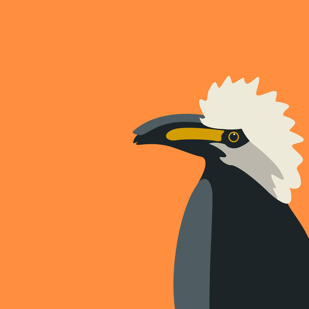 madarak, hornbills fej vektoros illusztráció stílus lapos profil  - Vektor, kép