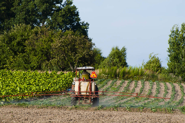 Régi mezőgazdasági traktor Field - Lengyelország - Fotó, kép