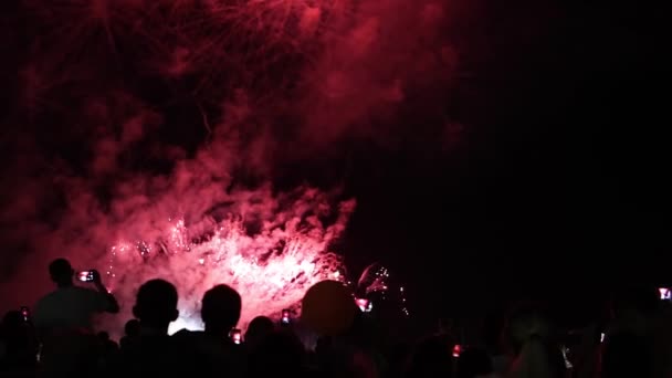 pięknych ludzi oglądać fajerwerki Fireworks z - Materiał filmowy, wideo