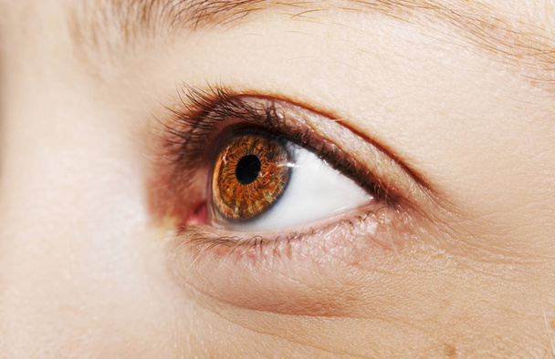 A beautiful insightful look woman's eye. Close up shot. - Foto, imagen