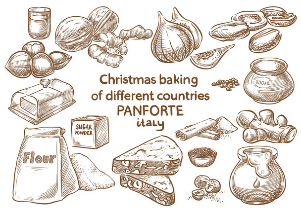 Cottura di Natale. Ingredienti Panforte.Italia
 - Vettoriali, immagini