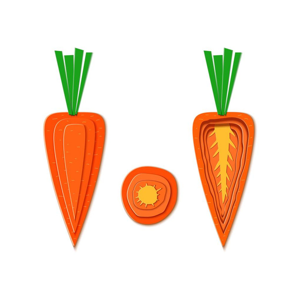 Conjunto de papel cortado zanahoria naranja. Diseño de corte de papel vectorial en forma de zanahorias maduras enteras y rebanadas para el diseño de envases de alimentos. Ilustración vectorial. Papel apliques vegable. Concepto de origami
. - Vector, Imagen