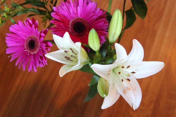 piękne tropikalne kwiaty bardzo duże i wspaniały zapach - Zdjęcie, obraz