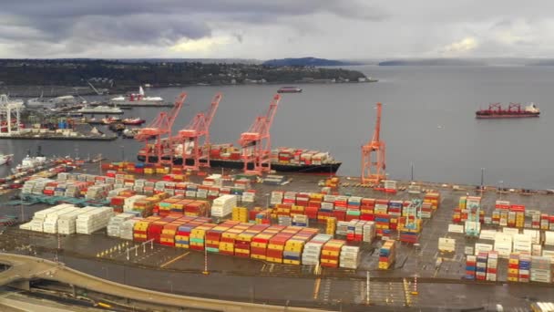 Ilmakuva Seattlen satamasta teollisilla nostureilla ja laivoilla
 - Materiaali, video