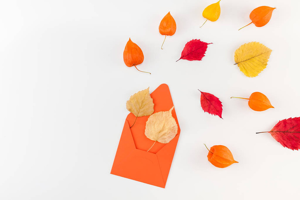 Δημιουργική κάτοψη lay επίπεδη φύλλα του φθινοπώρου Φάκελος επιστολής Σύνθεση αποξηραμένα λουλούδια πορτοκαλί φόντο αντίγραφο χώρο πρότυπο mockup πτώση συγκομιδή των Ευχαριστιών Απόκριες επέτειο πρόσκληση κάρτες - Φωτογραφία, εικόνα