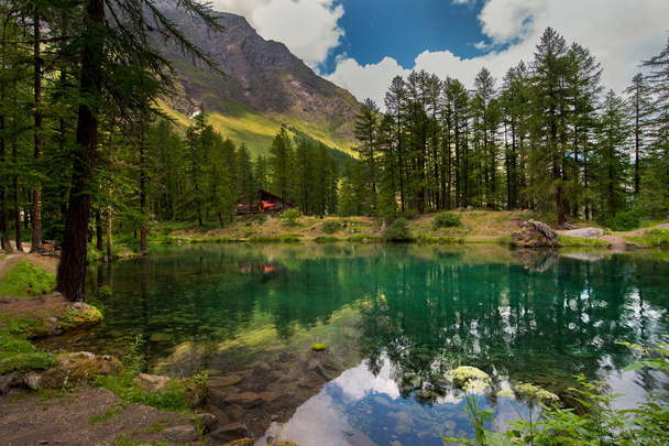 alpine meer in een dennenbos in Rhemes Notre Dame, Valle daosta, Italië, - Foto, afbeelding