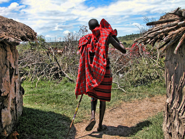 Detail of Kenya, Africa - Photo, Image