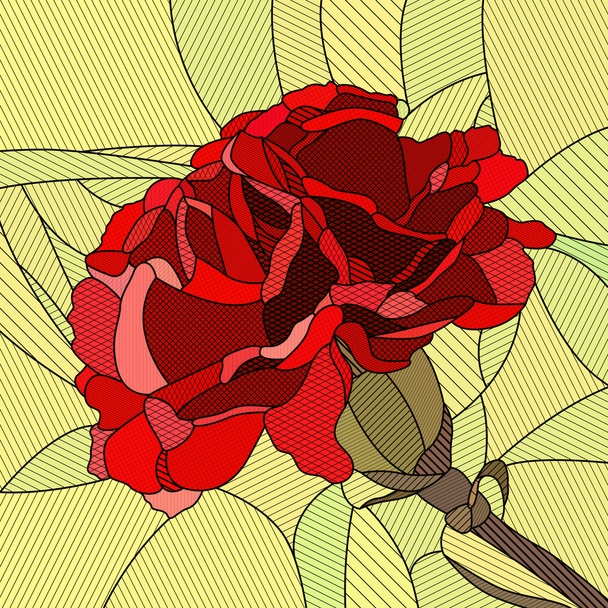 Vector illustration of flower red carnation. - Vector, Image