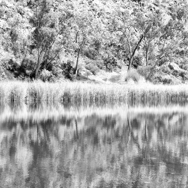 στην Αυστραλία natuarl Βασιλέων φαράγγι και το ποτάμι κοντά στο βουνό μέσα στη φύση - Φωτογραφία, εικόνα
