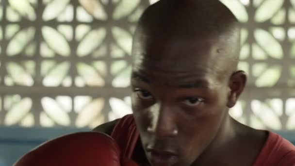 mladý africký americký sportovec, atlet trénink v tělocvičně boxu - Záběry, video