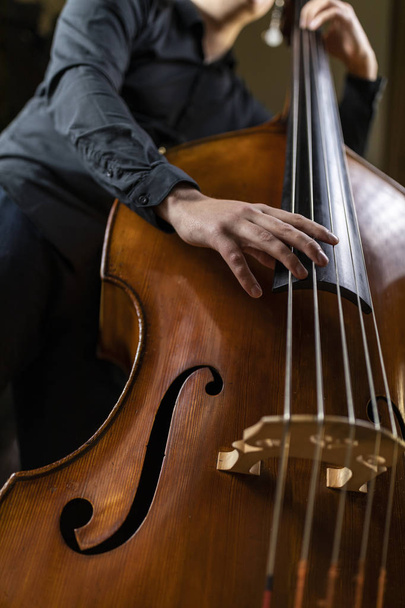A person playing a double bass - Фото, изображение
