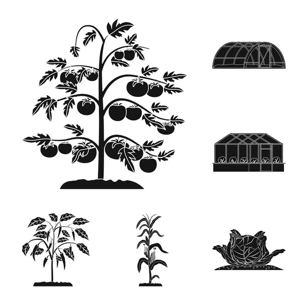 Vektor-Design von Gewächshäusern und Pflanzen Zeichen. Sammlung von Illustrationen für Gewächshäuser und Gartenbestände. - Vektor, Bild