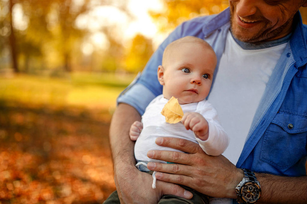 Young family enjoying in autumn park, cute baby boy and father - 写真・画像