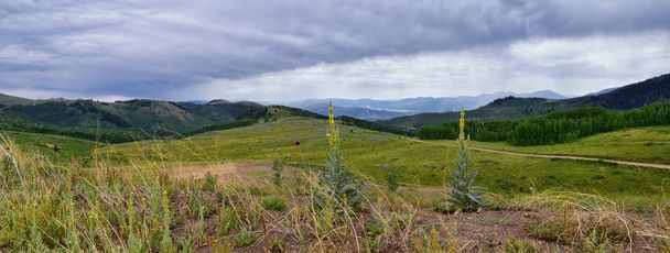 Guardsman Pass vista panoramica del paesaggio del Passo, Midway e Heber Valley lungo il fronte Wasatch Montagne rocciose, foreste estive, nuvole e tempesta di pioggia. Utah, Stati Uniti
. - Foto, immagini