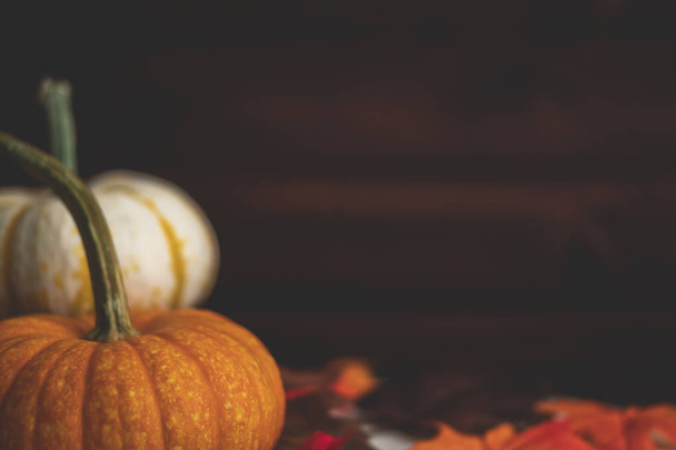 Kürbisse mit Herbstlaub mit dunkelbraunem Holzhintergrund. - Foto, Bild