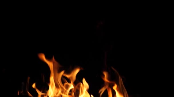 Nachts branden rood vuur verbrandt. Slow motion - Video