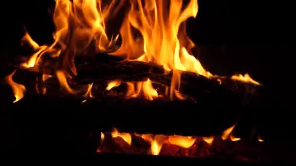 Orange fire burns wood in dark, ash in fire, slow motion - Footage, Video