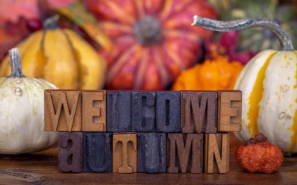 Willkommensgruß Herbst Text in Holzblock-Schriftzug mit bunten Kürbis und Kürbisse im Hintergrund geschrieben - Foto, Bild