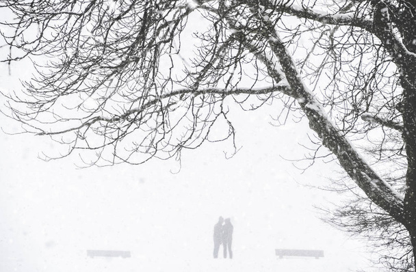 raue Winterlandschaft mit der Silhouette zweier Menschen in einem Park bei Schneefall und Schneesturm, eingerahmt von einem großen, blattlosen Baum, im Februar in Deutschland. - Foto, Bild