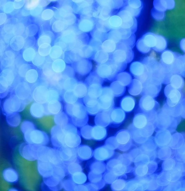 Blue bokeh lights, defocused, holiday and festive background - Photo, Image