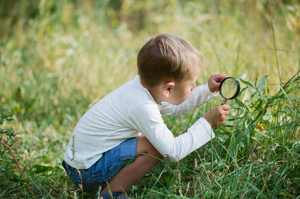 A small boy explores with a magnifying glass plants and insects, flora and fauna on a meadow on a sunny day - Foto, Imagem