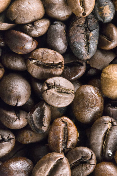 Brazil kávé bio magok - Fotó, kép