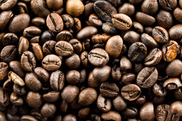 Káva bio semena Brazílie - Fotografie, Obrázek