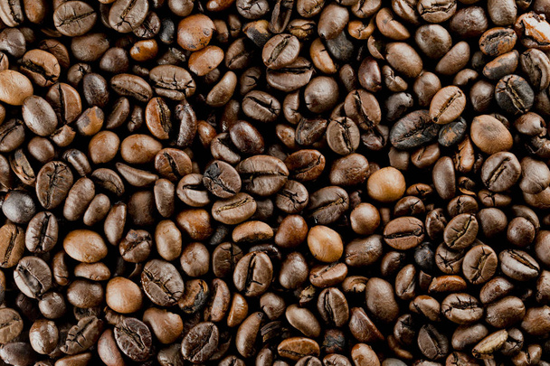 Brazylia kawy bio nasiona - Zdjęcie, obraz