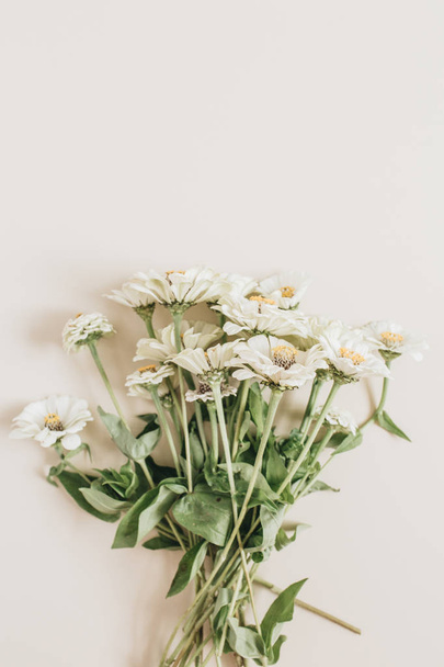 Cynicism flowers bouquet on beige background. Flat lay, top view. - Фото, зображення