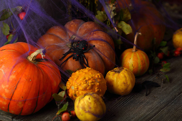 Halloween holiday decorations with pumpkin - Fotoğraf, Görsel