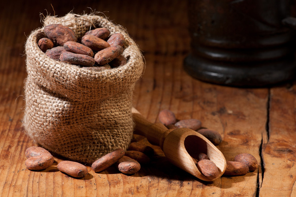 Sacco di cacao
 - Foto, immagini