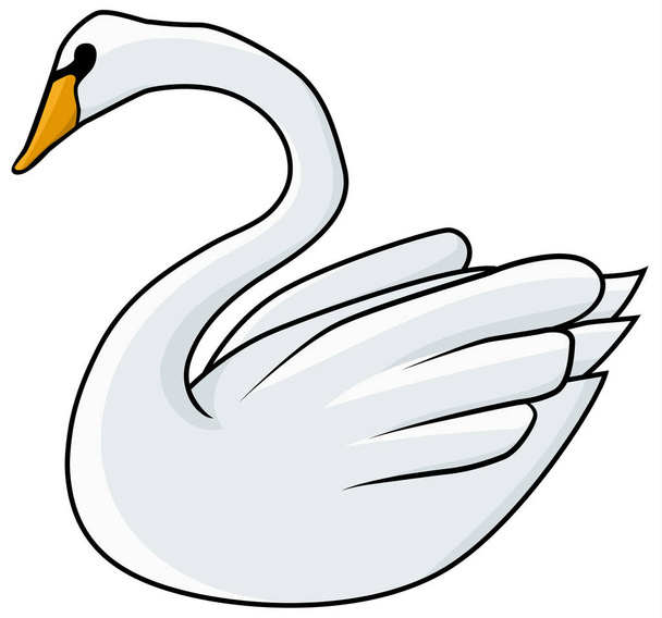 Swan bird drawing, vector, horizontal line drawing colored, over white, isolated - Vektör, Görsel
