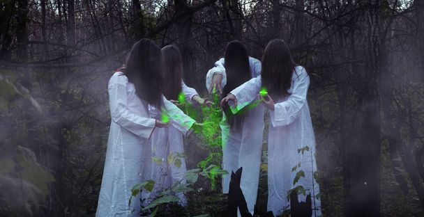 Cuatro brujas para Halloween en un bosque sombrío. Brujas en un bosque oscuro en Halloween con luces verdes
. - Foto, imagen
