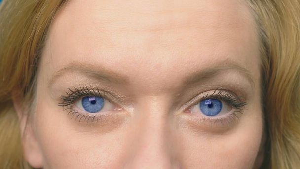Krásné modré oči detail. Mladá žena bliká a je při pohledu na fotoaparát. detail, - Fotografie, Obrázek