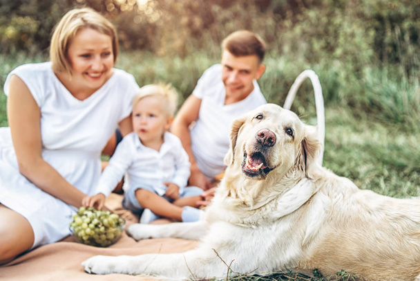Jovem família bonita com cão relaxante no piquenique no prado
  - Foto, Imagem