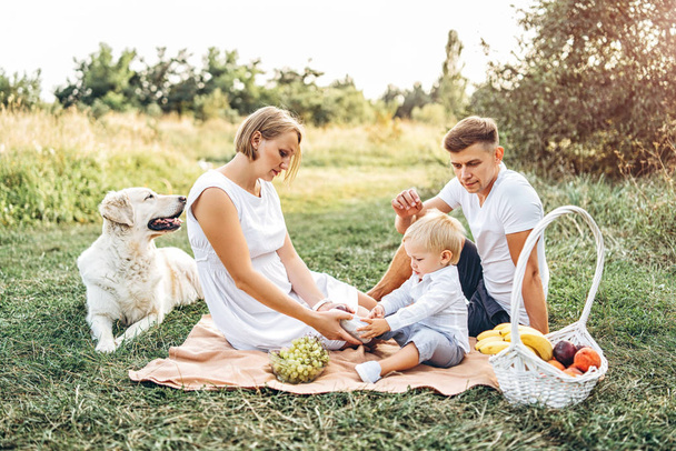 Молода красива сім'я з собакою відпочиває на пікніку на лузі
  - Фото, зображення