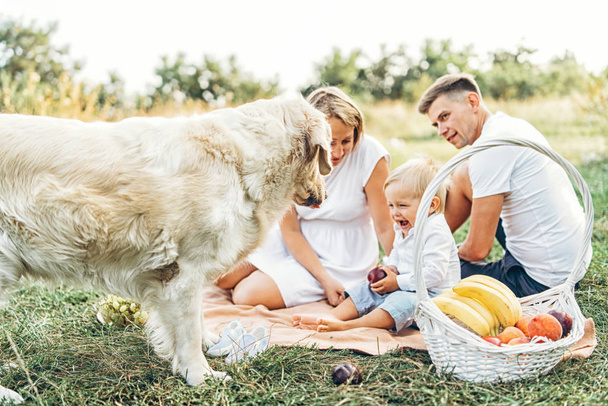 Young pretty family on picnic with dog on meadow  - Zdjęcie, obraz