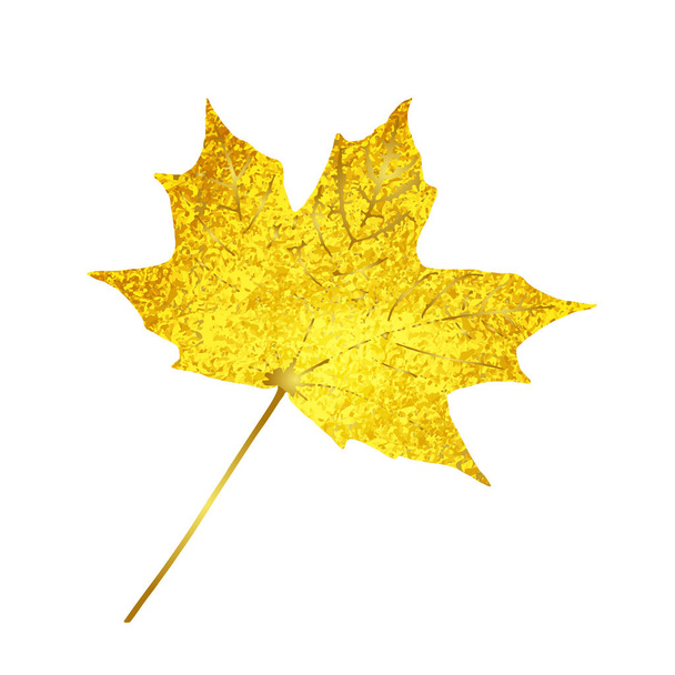 Złote musujące klon liść na białym tle. Góra ilustracja wektorowa widok zbliżenie złoto jesień klon liść - Wektor, obraz