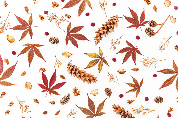 Pattern made of fall leaves, dried flowers and pine cones on white background. Flat lay, top view, Autumn composition. - Фото, изображение