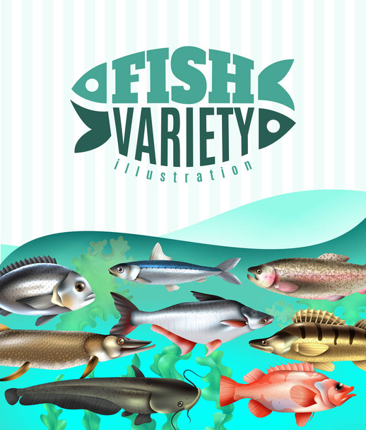 Variedad de peces Ilustración
 - Vector, Imagen