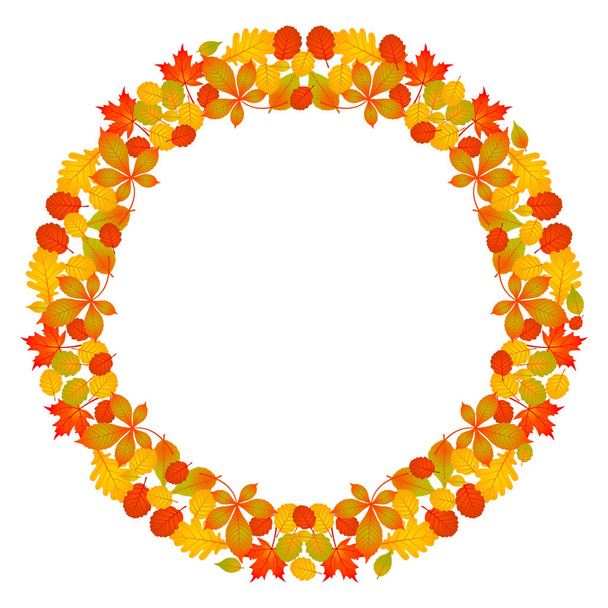 vector de color circular marco redondo mandala otoño hojas - rojo, naranja, amarillo y verde vibrante color sobre fondo blanco
 - Vector, Imagen