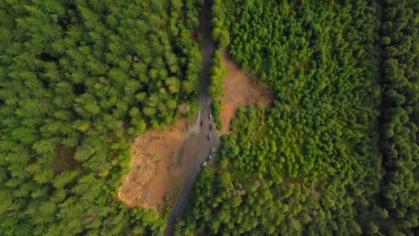 Rozhledna malebné lesní stromy - Záběry, video