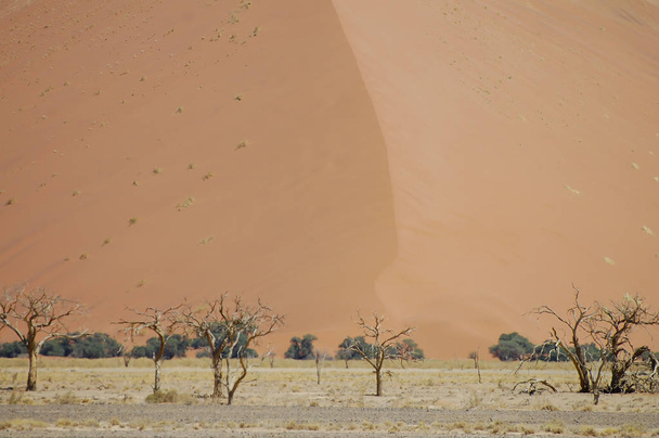 Dunas de areia - Sossusvlei - Namíbia
 - Foto, Imagem