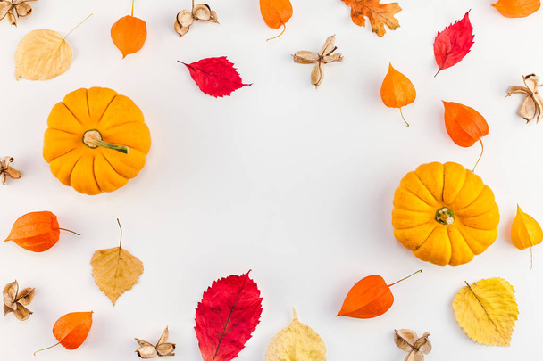 創造的なトップ ビュー フラット置く秋の組成。カボチャは、オレンジ色の花葉背景コピー スペースを乾燥させます。テンプレート フレーム秋の収穫感謝祭ハロウィーン周年記念招待カード - 写真・画像