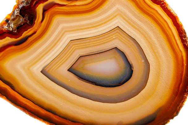 Macro mineral stone Yellow, brown Agate breed a white background close up - Photo, Image