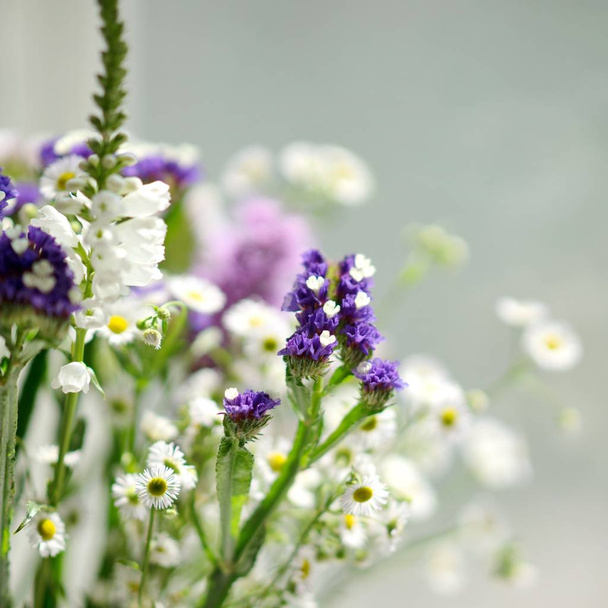 buket Kuru çiçekler, statice, lyatris, Çince Glayöl ve papatya - Fotoğraf, Görsel